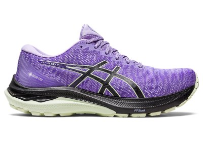 Asics Gt-2000 11 GTX Koşu Ayakkabısı Kadın Mor Siyah | TR2332-023