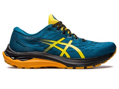 Asics Gt-2000 11 Tr NatuRE Bathing Koşu Ayakkabısı Erkek Mavi Altın Sarı | TR5074-576
